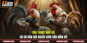Tin Tức 23Win – Cập Nhật Thông Tin Mới Nhất, Chính Xác
