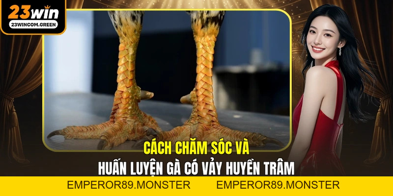 Vảy Gà Huyền Trâm - Đặc Điểm Và Cách Nhận Biết Chuẩn Nhất