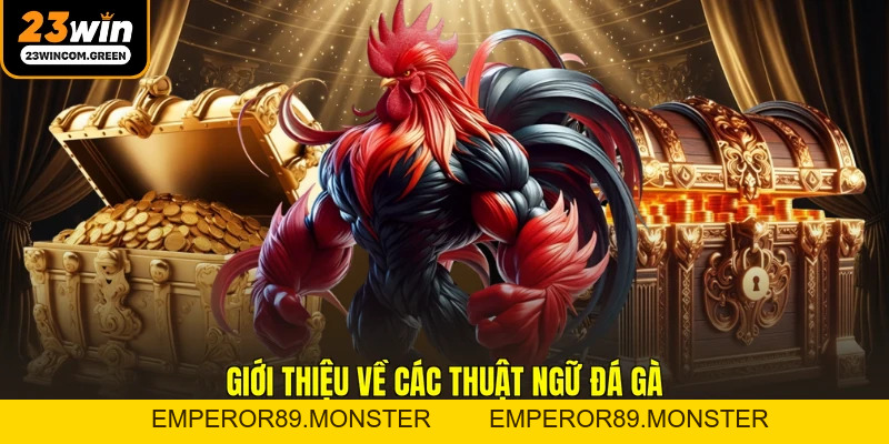 Các Thuật Ngữ Đá Gà Cơ Bản Mà Người Chơi Cần Nắm Rõ