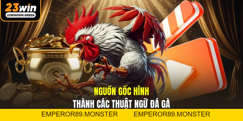 Các Thuật Ngữ Đá Gà Cơ Bản Mà Người Chơi Cần Nắm Rõ
