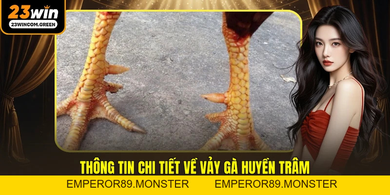 Vảy Gà Huyền Trâm - Đặc Điểm Và Cách Nhận Biết Chuẩn Nhất