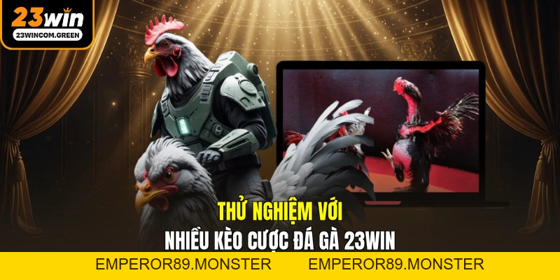 Đá Gà 23WIN - Trải Nghiệm Cá Cược Đỉnh Cao Cho Kê Thủ
