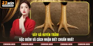 Tin Tức 23Win – Cập Nhật Thông Tin Mới Nhất, Chính Xác