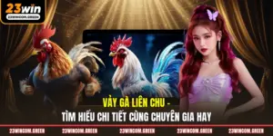 Tin Tức 23Win – Cập Nhật Thông Tin Mới Nhất, Chính Xác